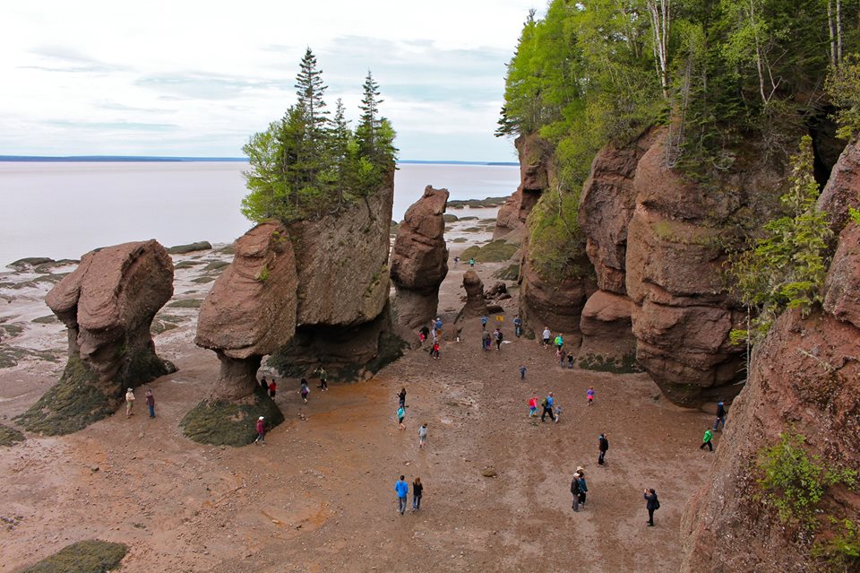 Explore the Hopewell Rocks, Hopewell Cape, New Brunswick