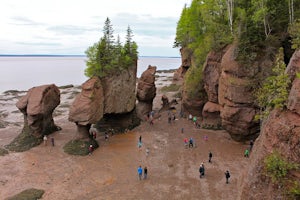 Explore the Hopewell Rocks