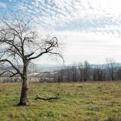Hike the Piedmont Overlook Trail in Sky Meadows State Park