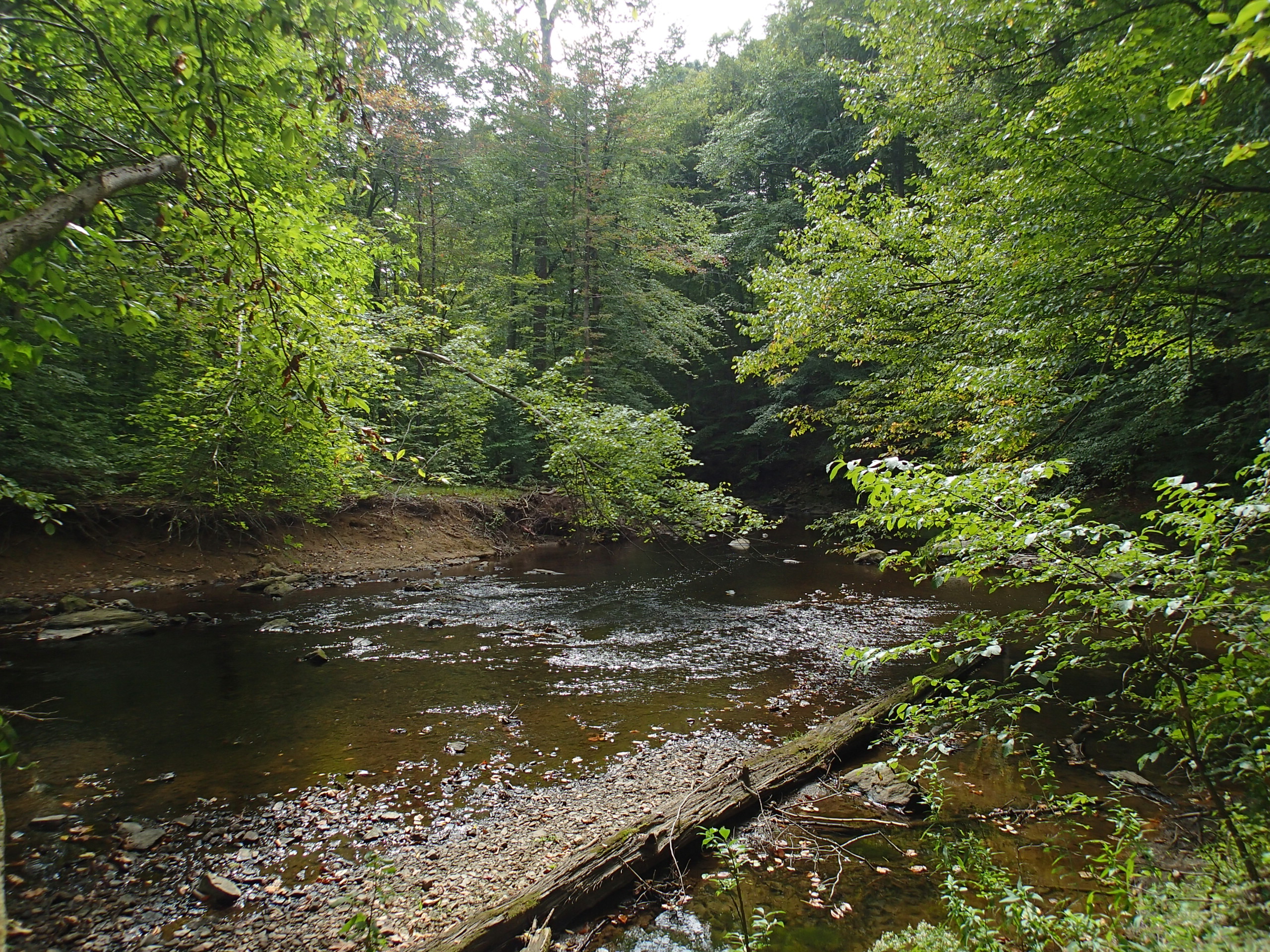 Hike The White Trail In Ridley Creek State Park Glen Mills Pennsylvania