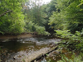 Hike the White Trail in Ridley Creek State Park