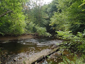 Hike the White Trail in Ridley Creek State Park