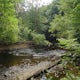 Hike the White Trail in Ridley Creek State Park