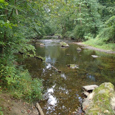 Hike the White Trail in Ridley Creek State Park