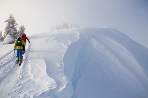 Ski Touring in Golden BC's Backyard