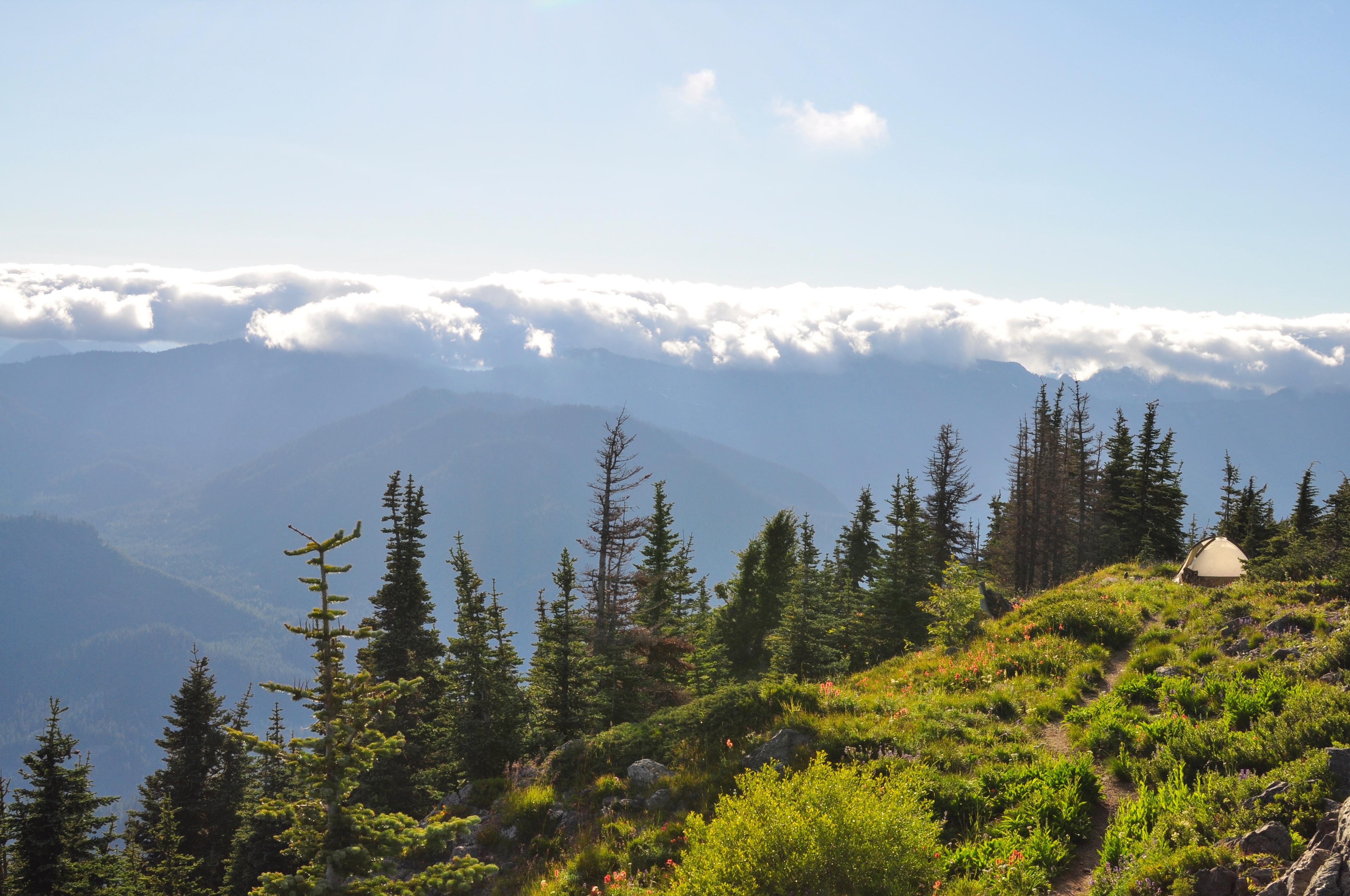 Thorp Mountain Lookout via Knox Creek Trail