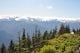 Thorp Mountain Lookout via Knox Creek Trail