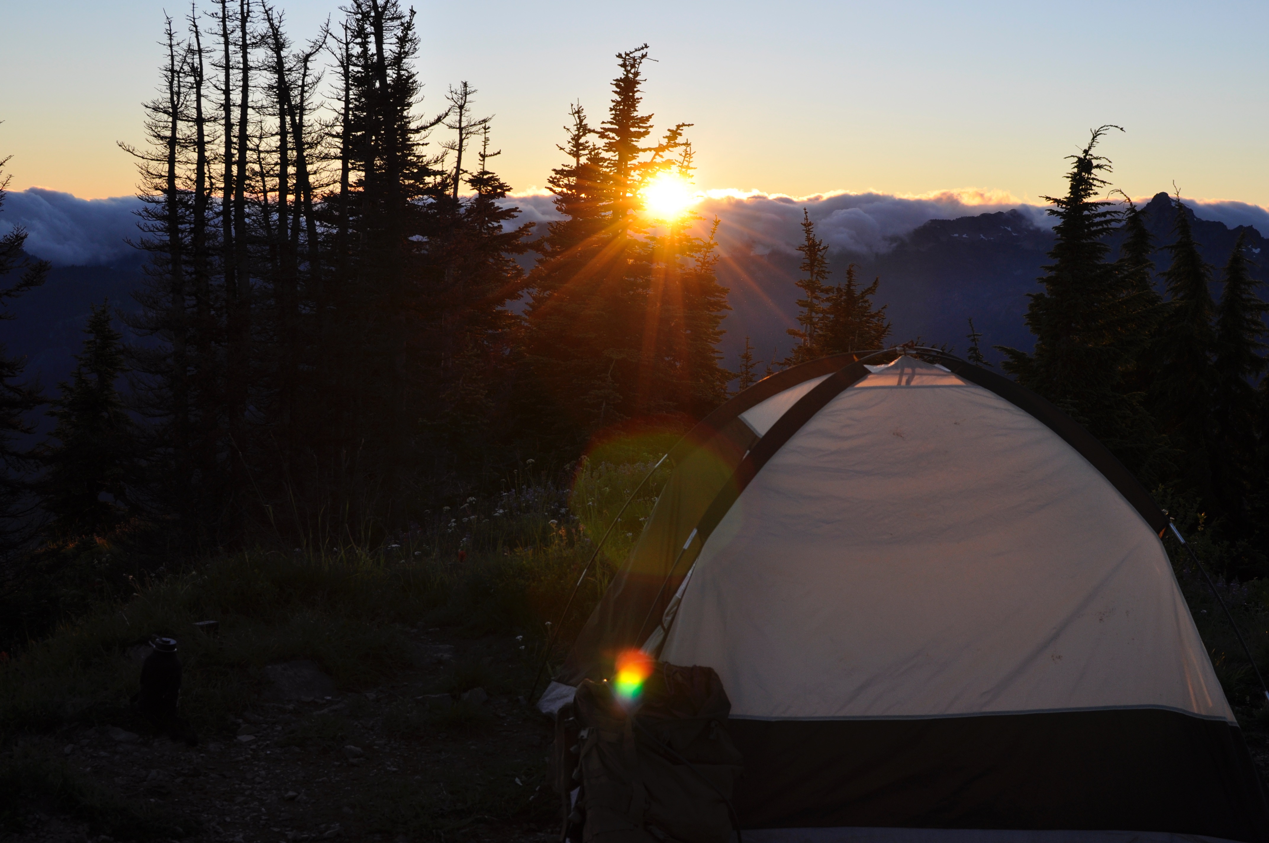 Thorp Mountain Lookout via Knox Creek Trail
