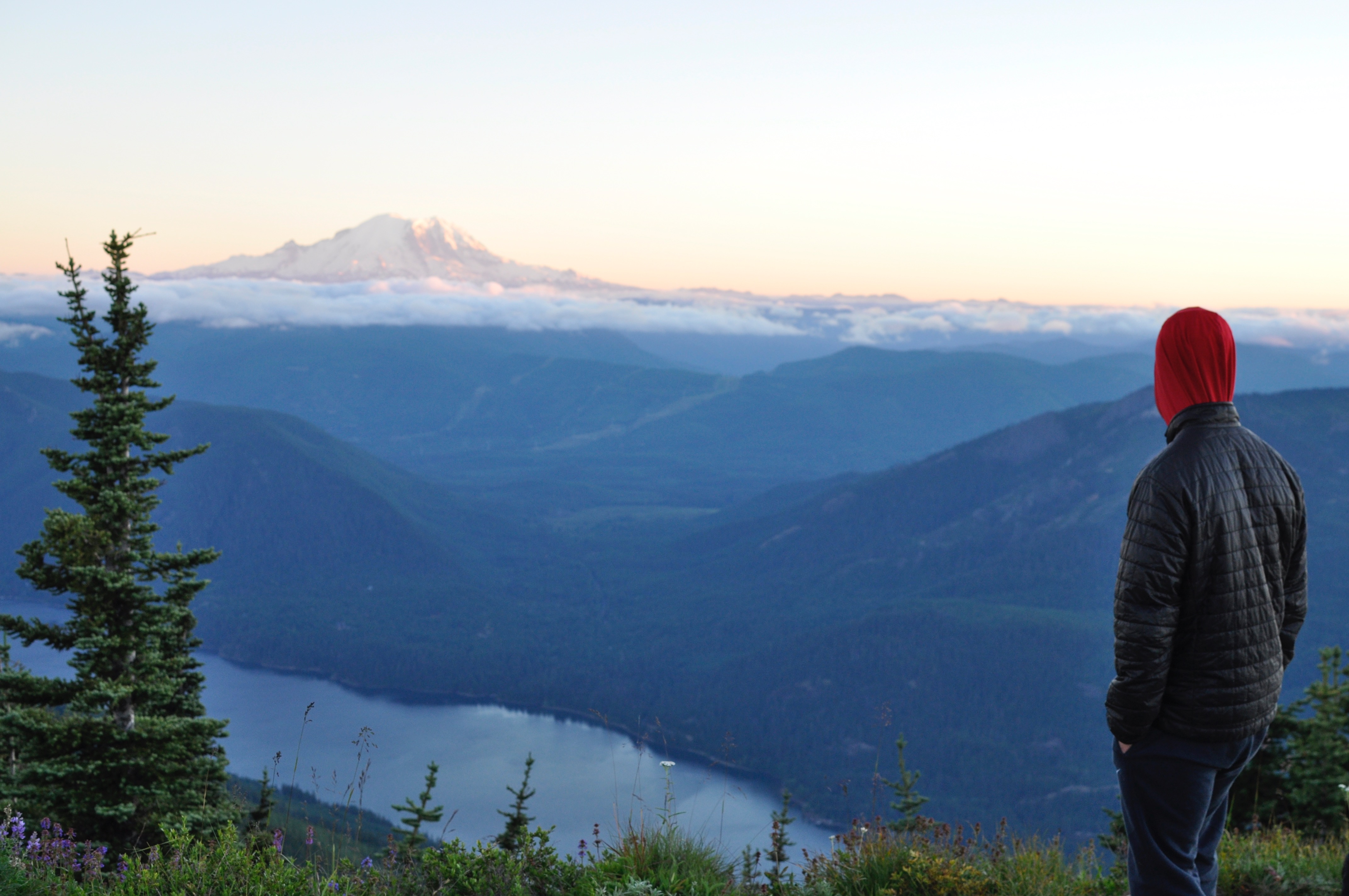 Thorp Mountain Lookout via Knox Creek Trail