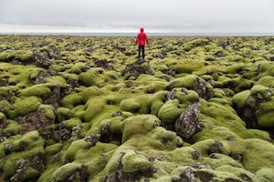 Explore the Mossy Lava Fields near Grindavik