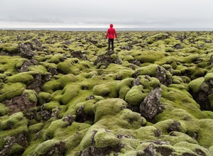 Explore the Mossy Lava Fields near Grindavik