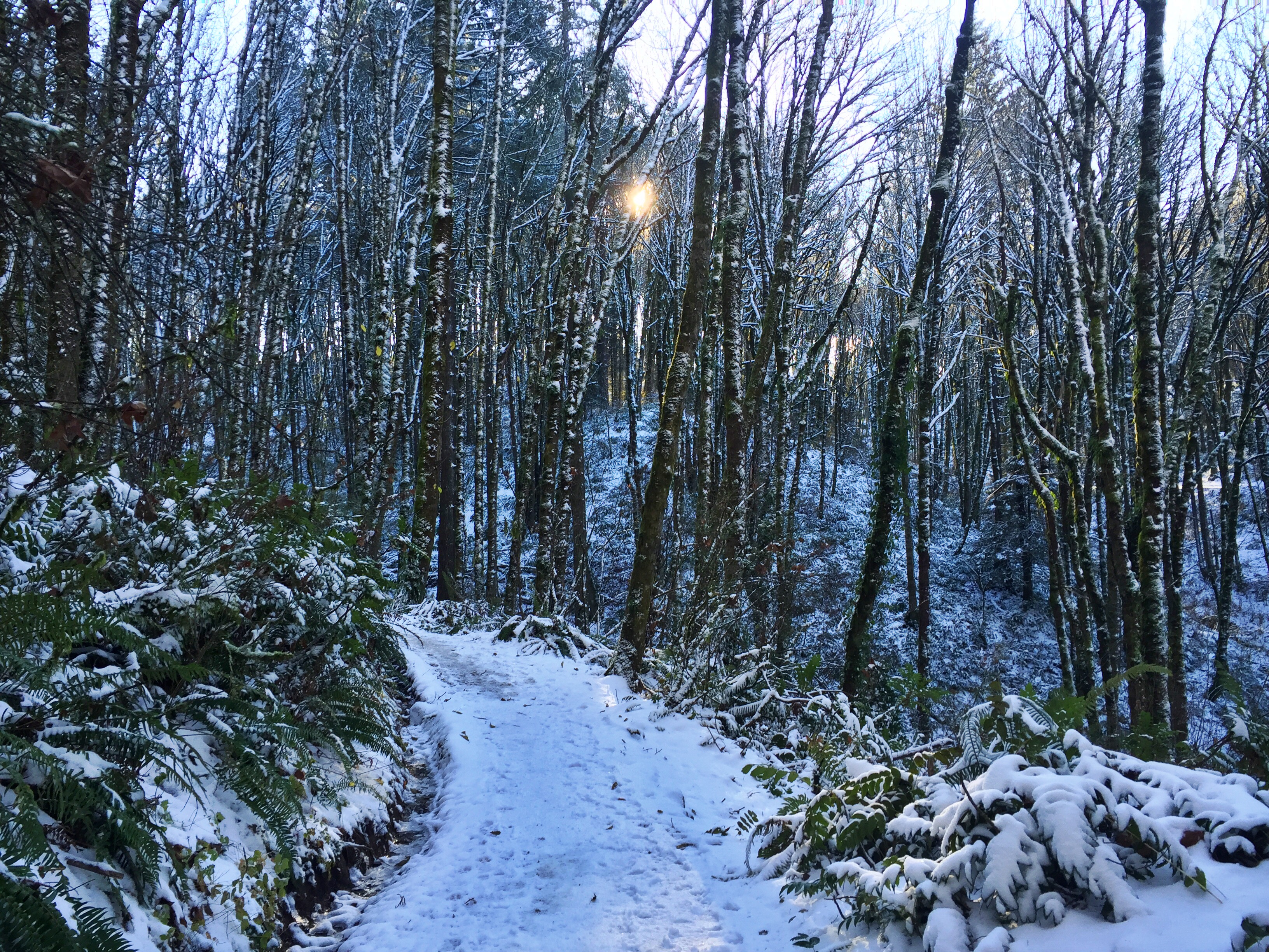 Lower Macleay Park to Pittock Mansion