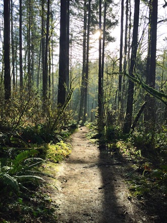 10 Best Hiking Trails Around Portland - Portland's Most Popular Hiking  Spots – Go Guides