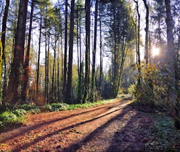 Run or Hike the Outer Loop of Tryon Creek