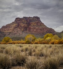 Hike the Lower Salt River Nature Trail