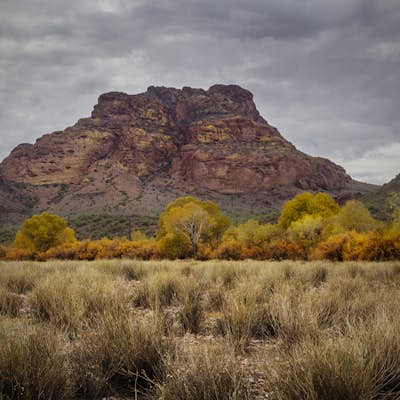 Hike the Lower Salt River Nature Trail