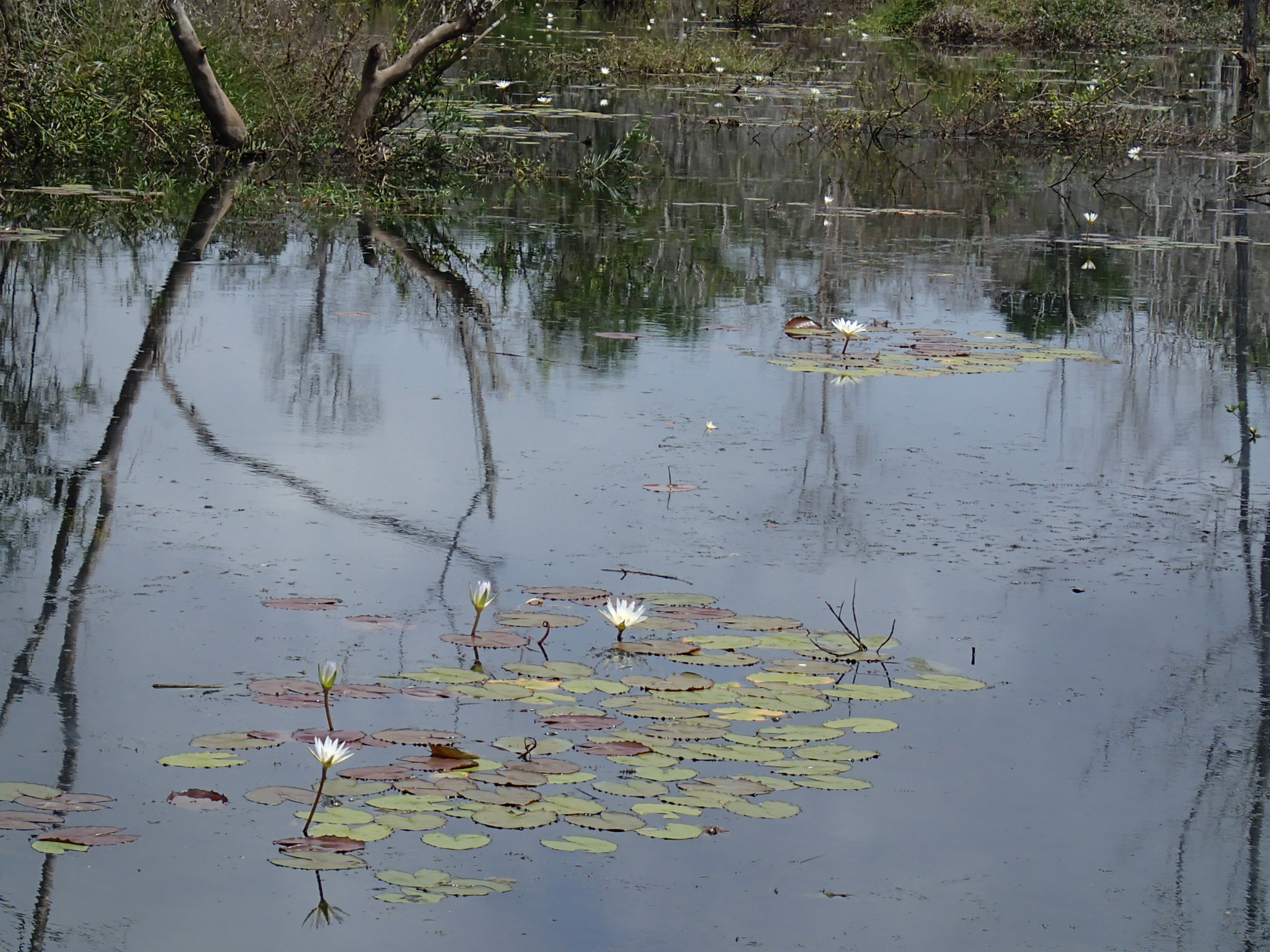 Explore Neak Pean - Ancient Healing Center