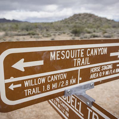 Hike Mesquite Canyon Trail