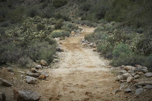 Hike Mesquite Canyon Trail