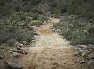 Hike Mesquite Canyon Trail