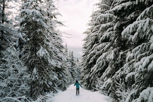 Making the Most of an Epic Skiing Crash in Whistler