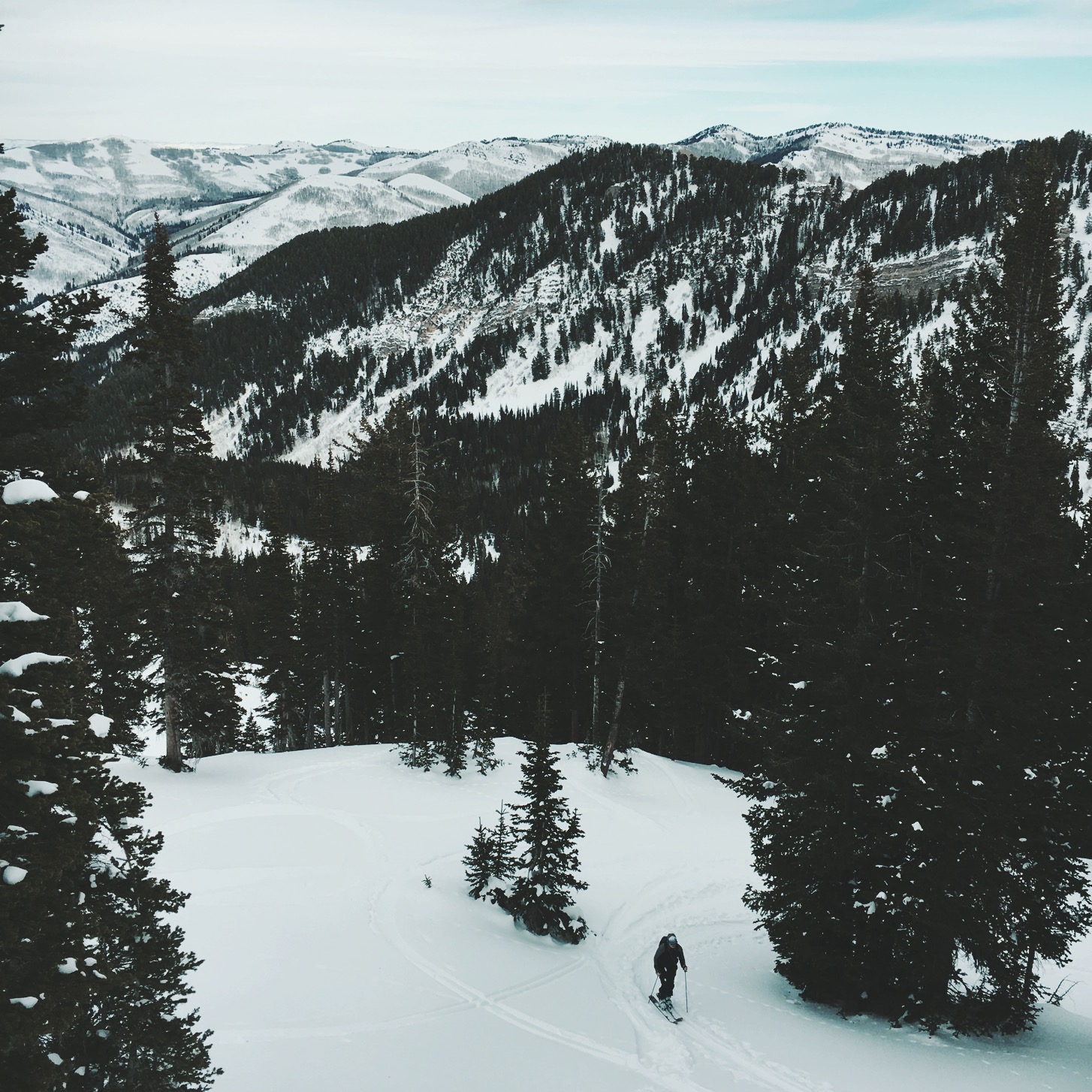 Backcountry Ski Days Fork