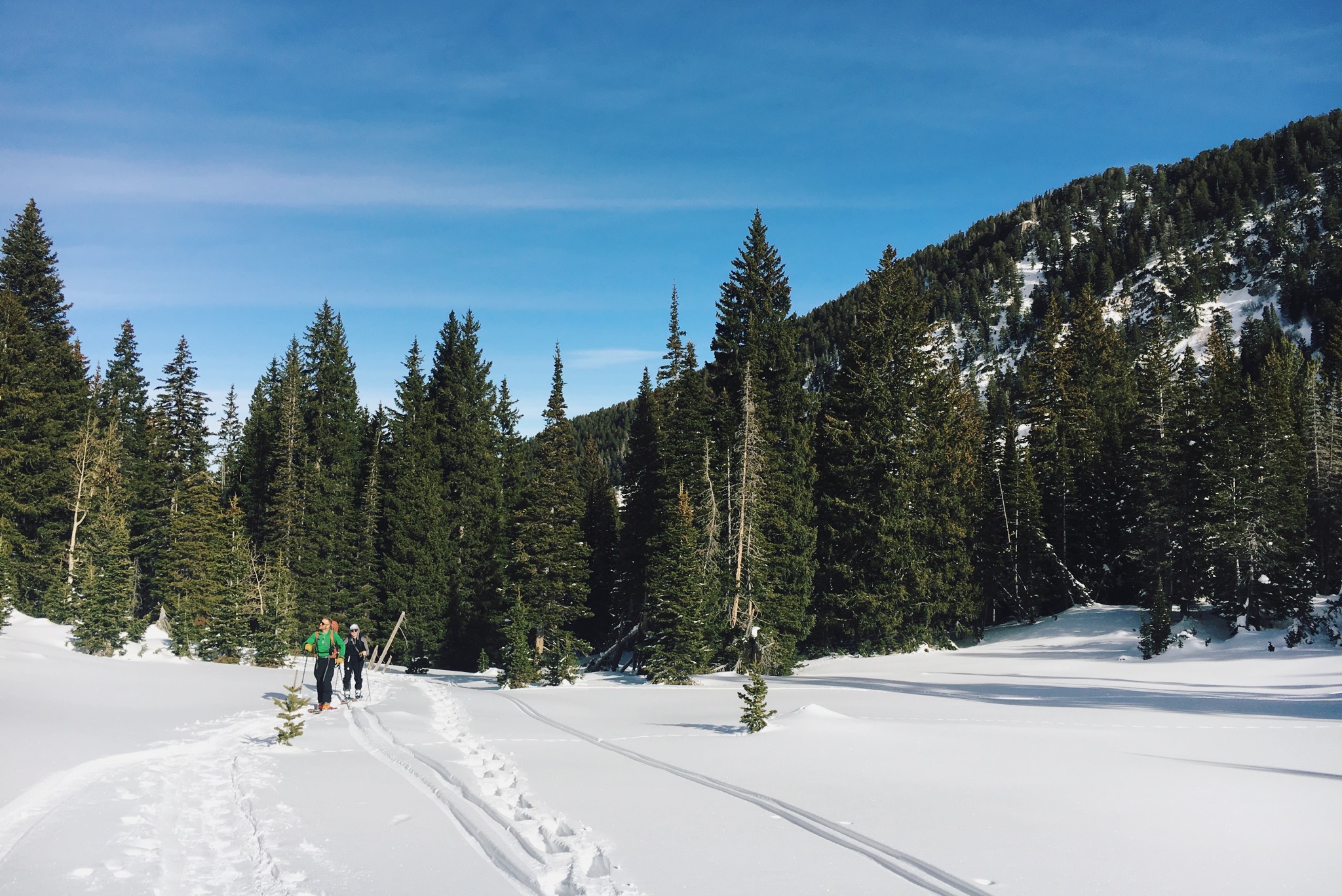 Backcountry Ski Days Fork