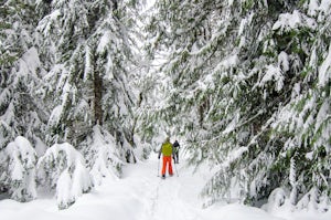 Snowshoe to Longmire Lookout