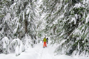 Snowshoe to Longmire Lookout