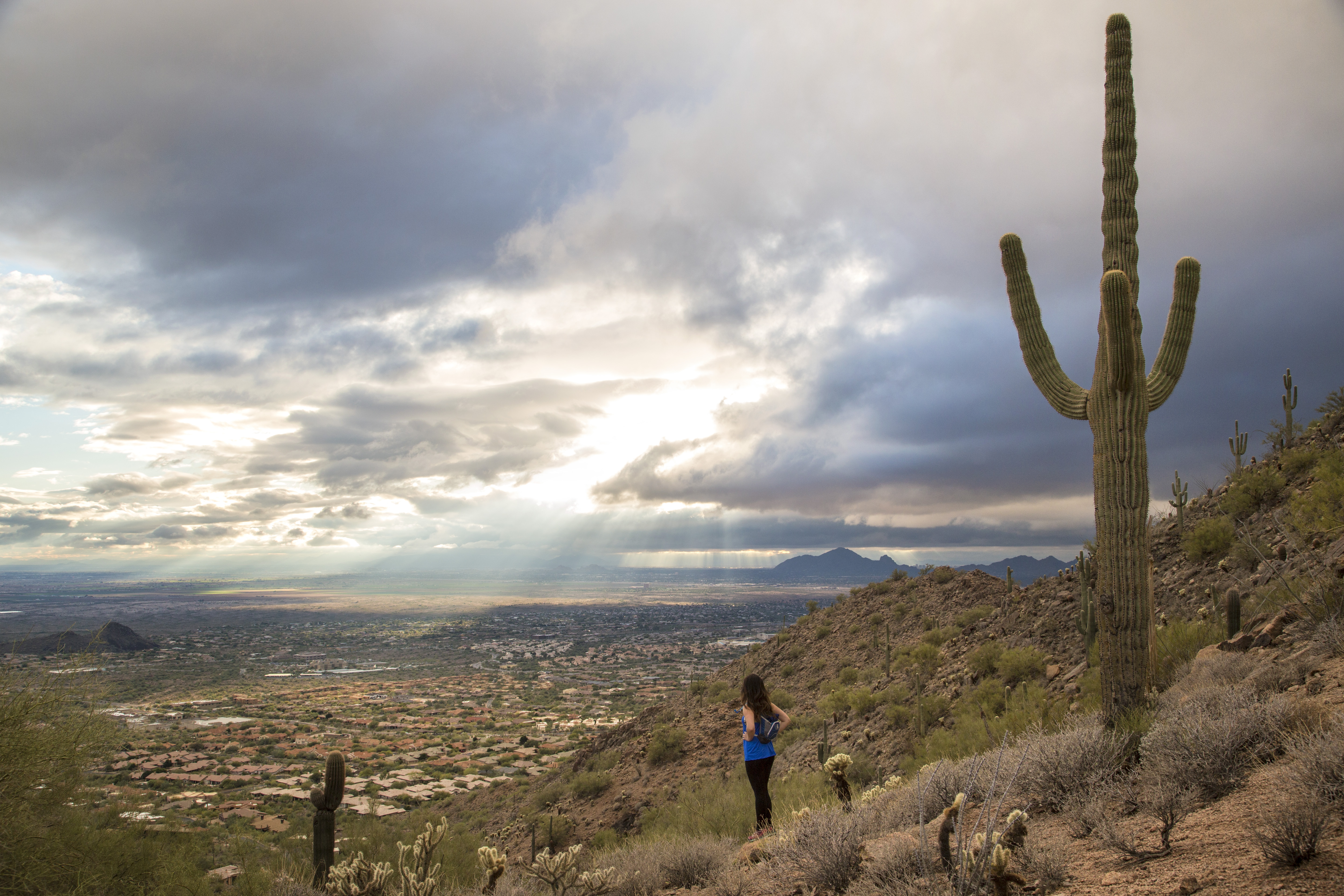Sunrise Trail to Sunrise Peak 