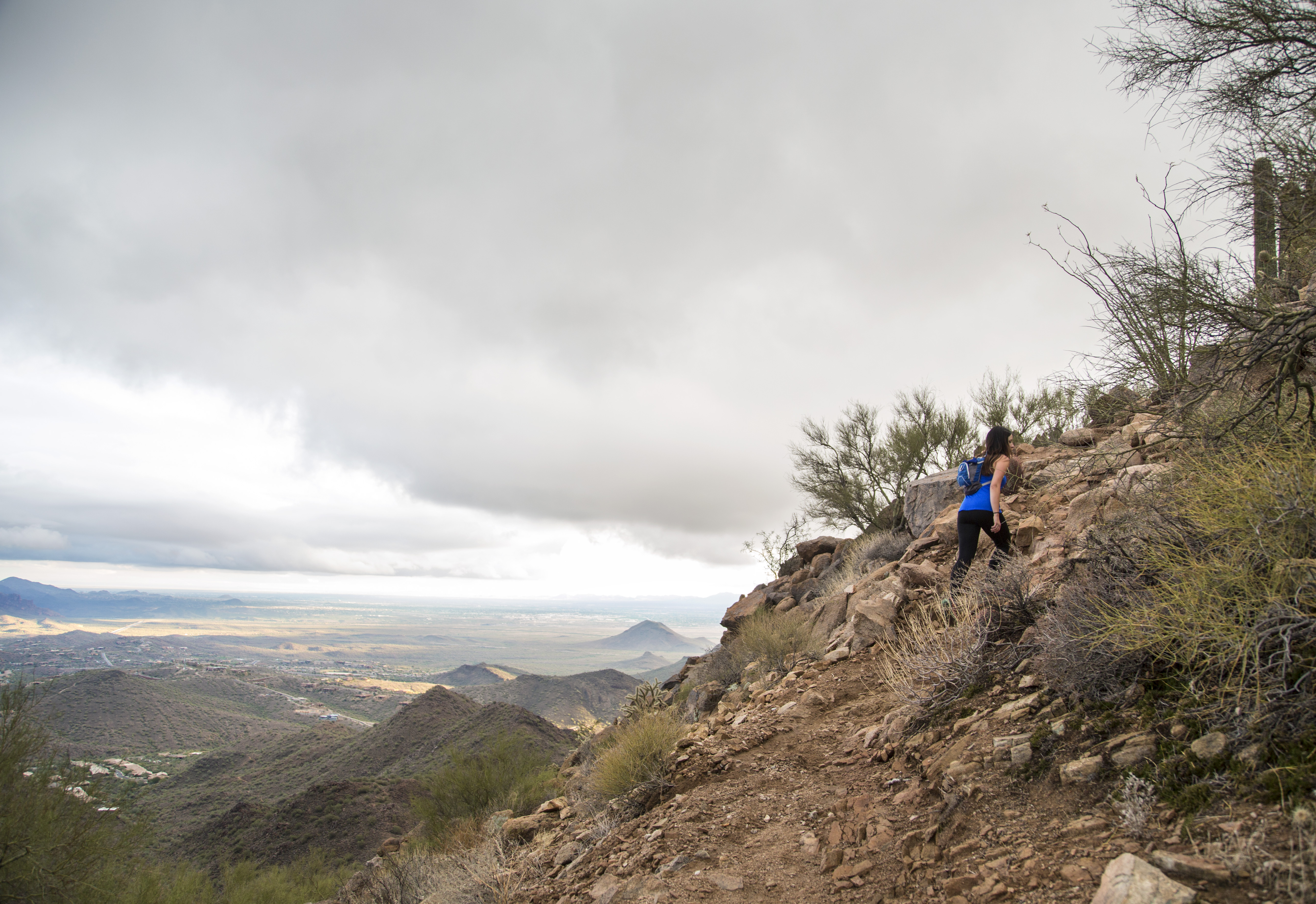 Sunrise Trail to Sunrise Peak 