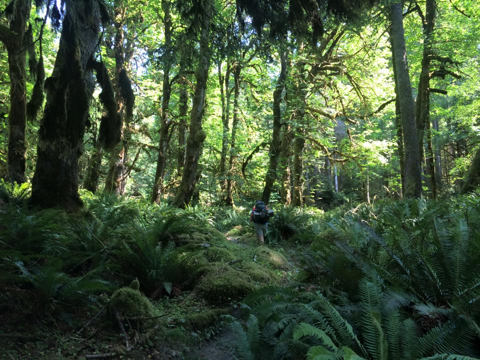 Backpack to Enchanted Valley Chateau