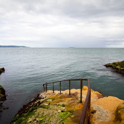 Take a Dive at the Forty Foot