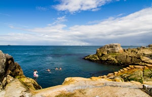 Take a Dive at the Forty Foot
