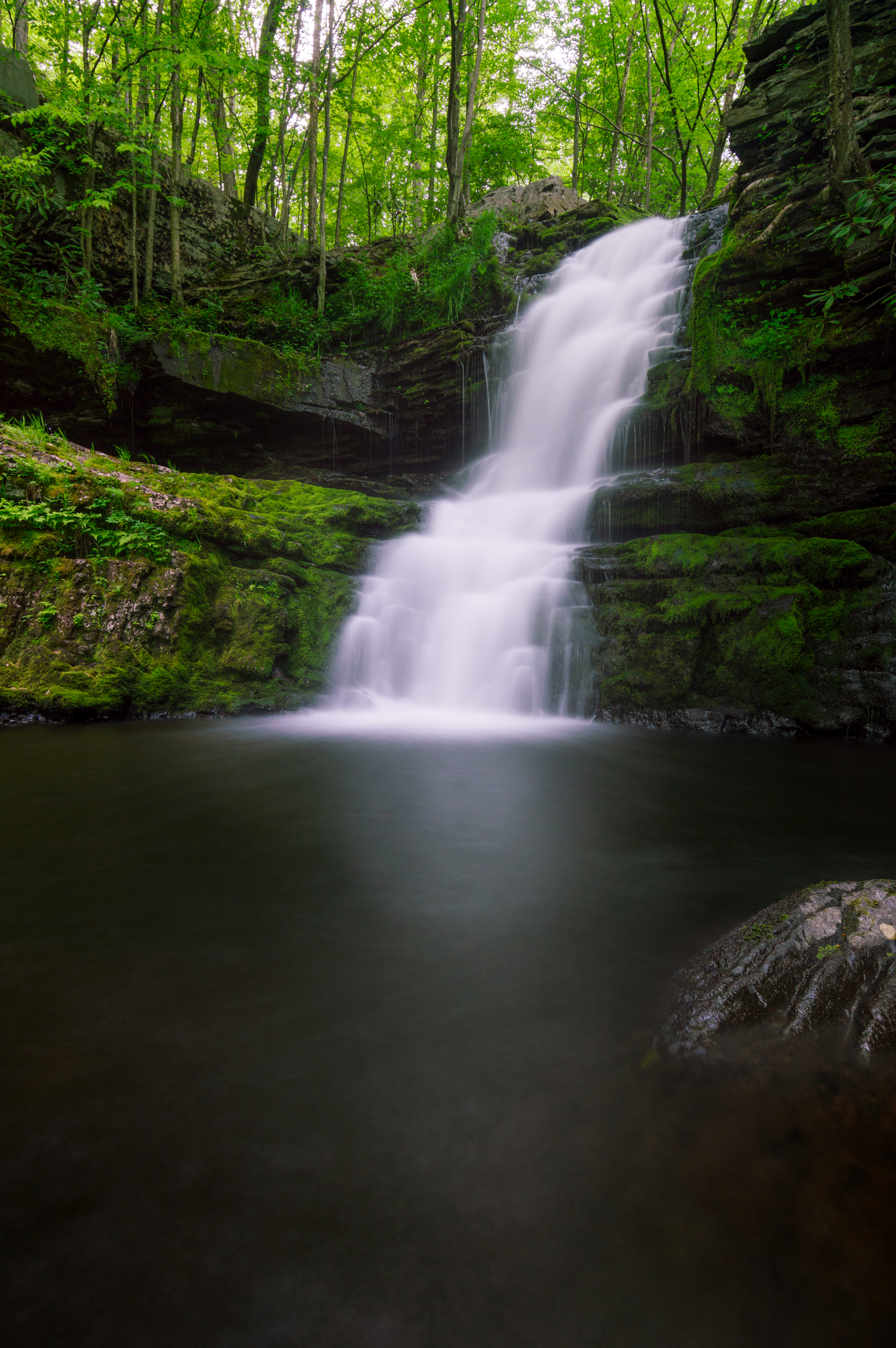 Indian Ladder Falls at Skytop