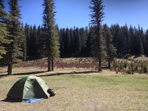 Camp at Bluff Springs