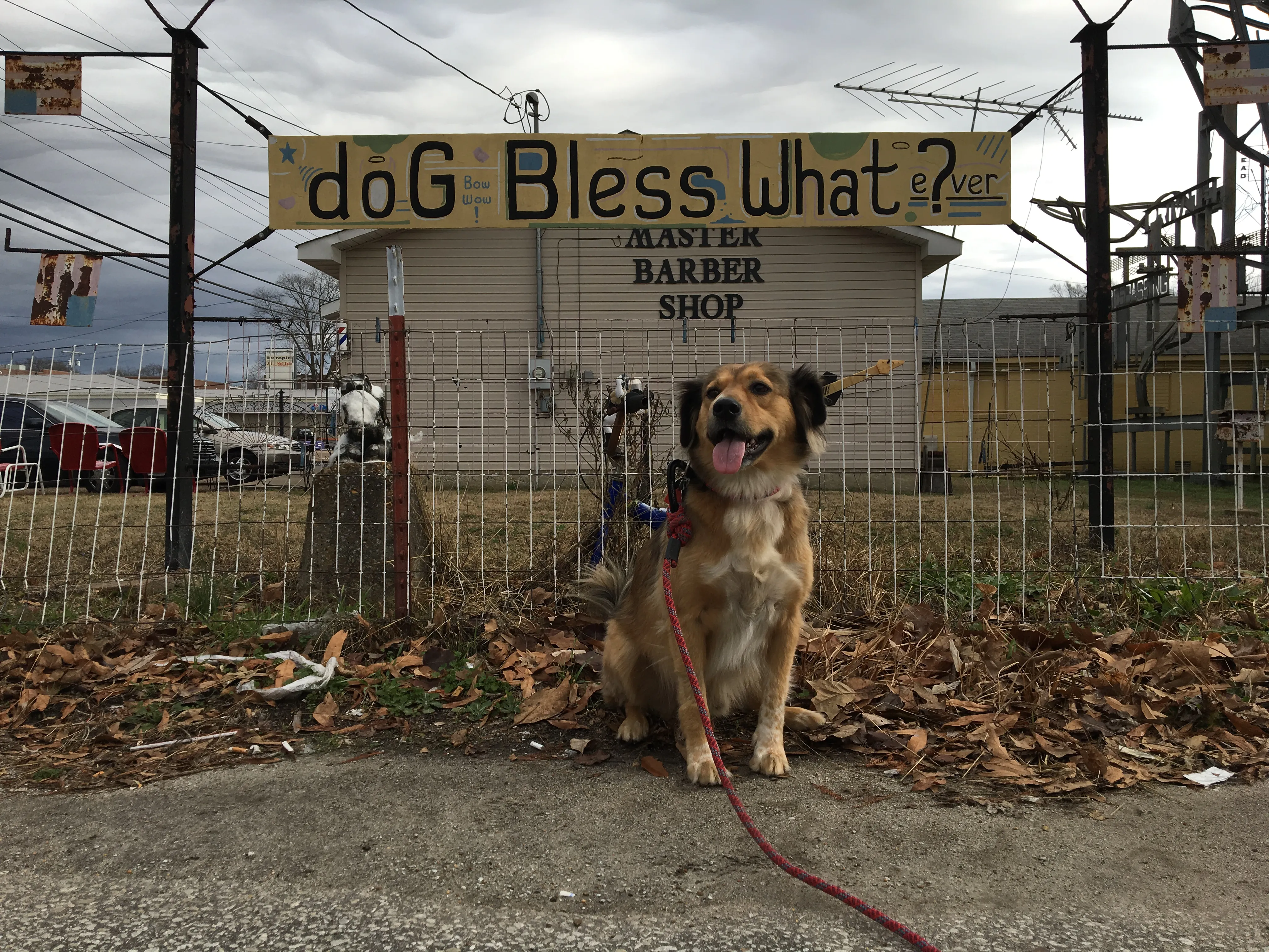 Visit The Mindfield