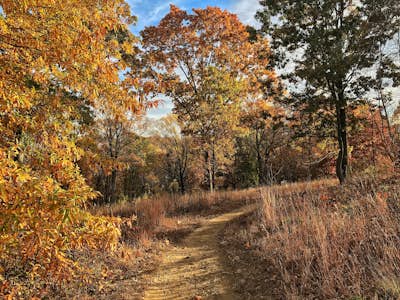 Hike the Wissahickon Gorge: Valley Green and Two Meadows Loop