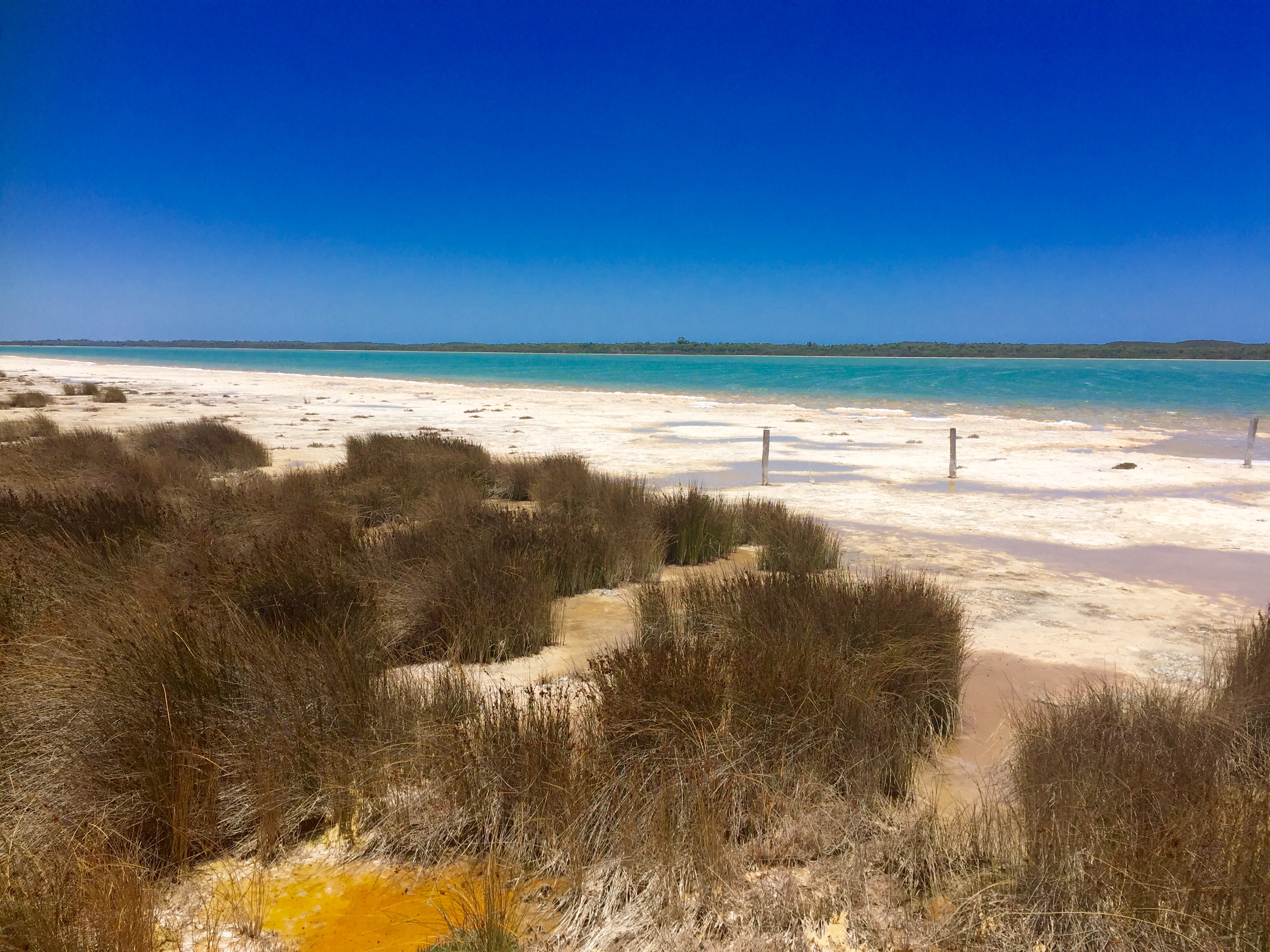 Explore Lake Clifton and the Thrombolites