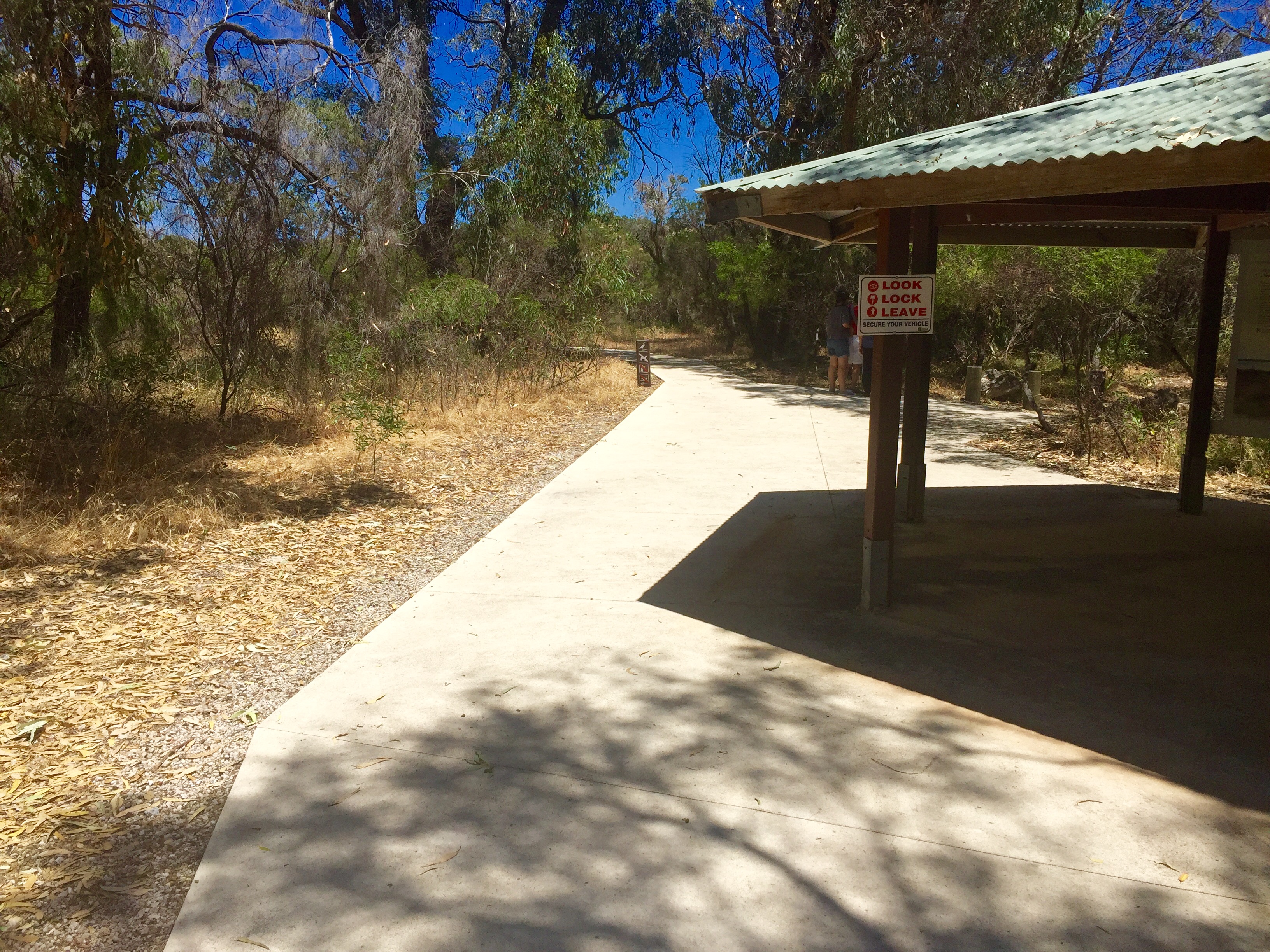 Explore Lake Clifton and the Thrombolites