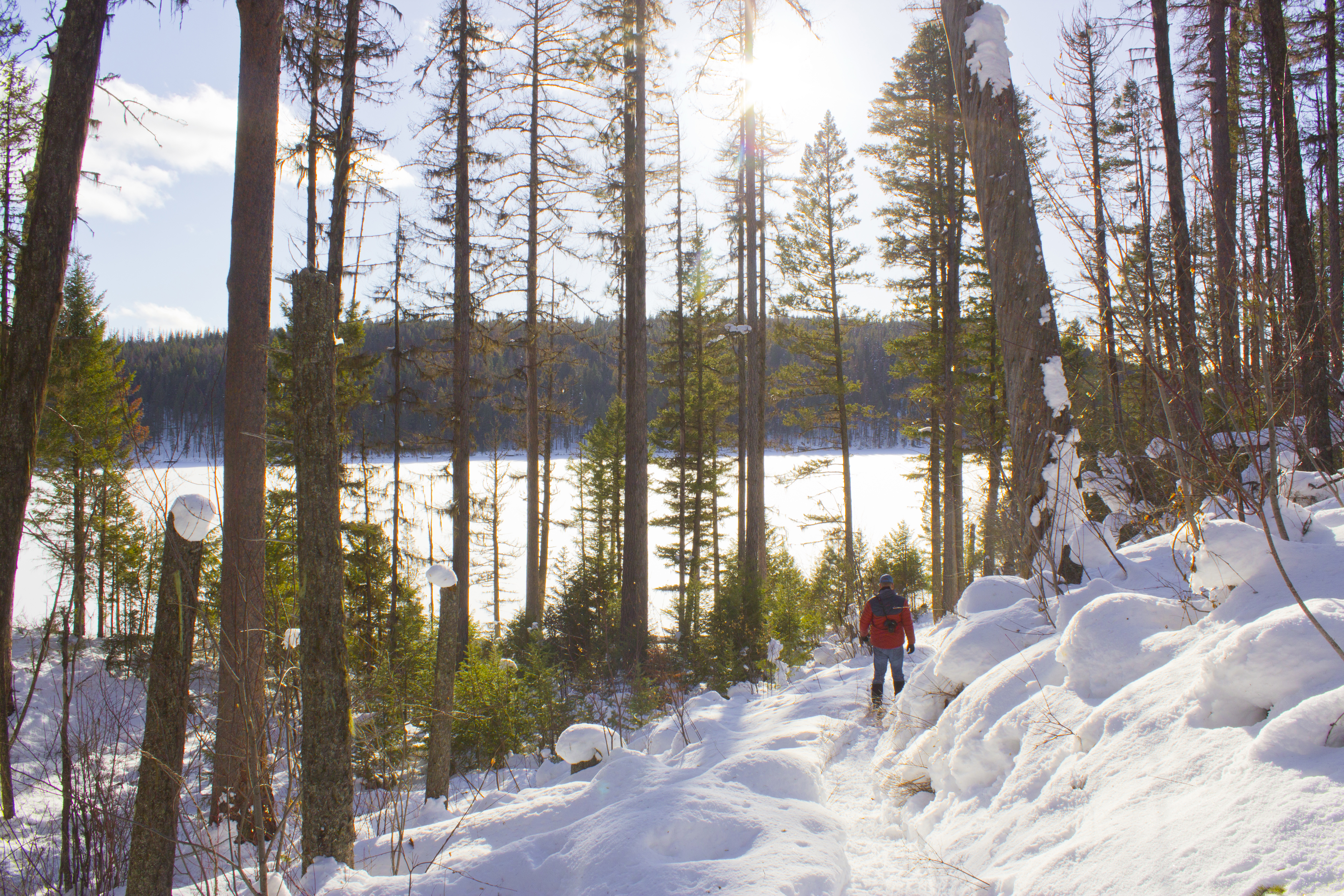 Snowshoe to Holland Falls