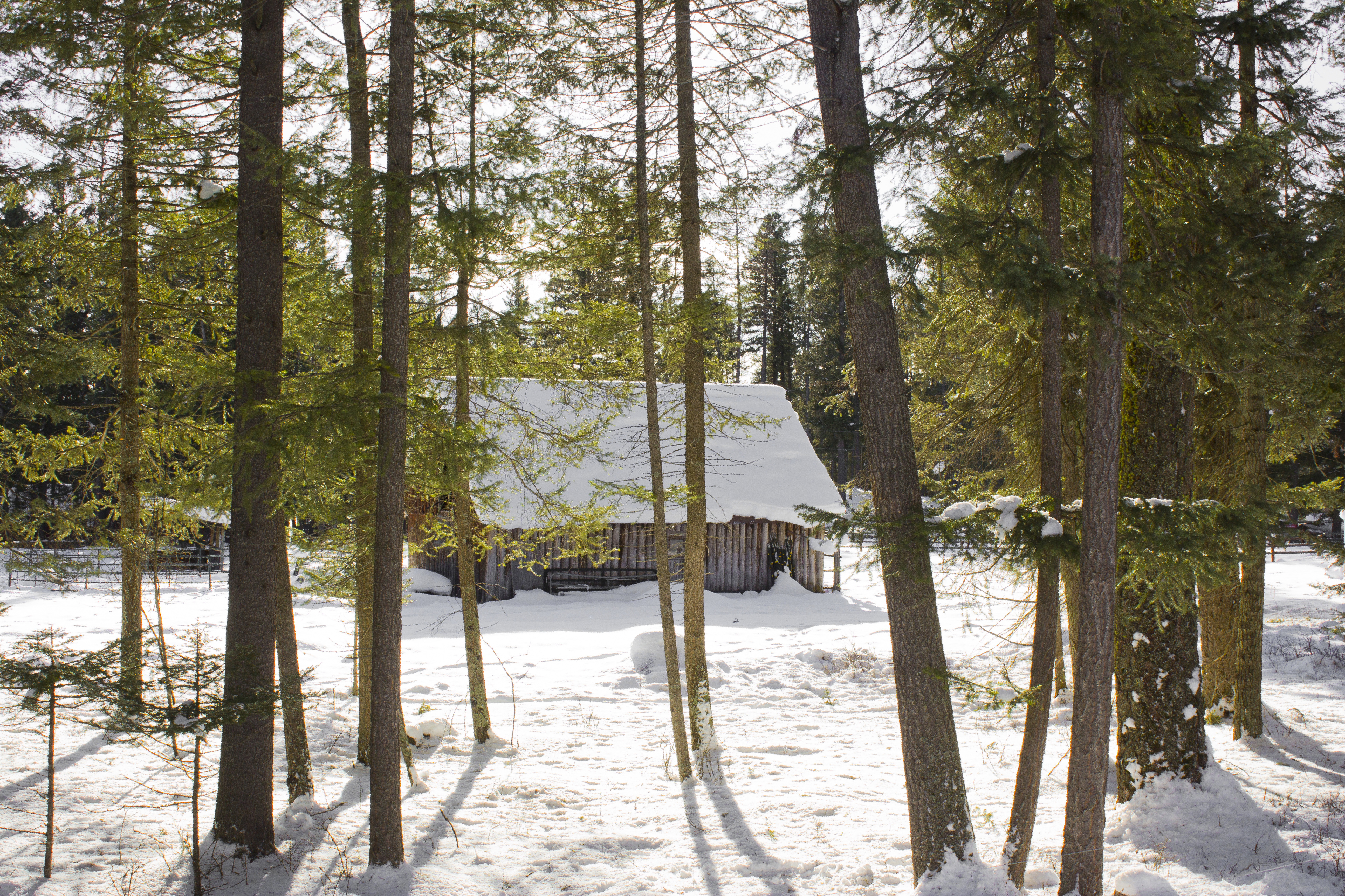 Snowshoe to Holland Falls