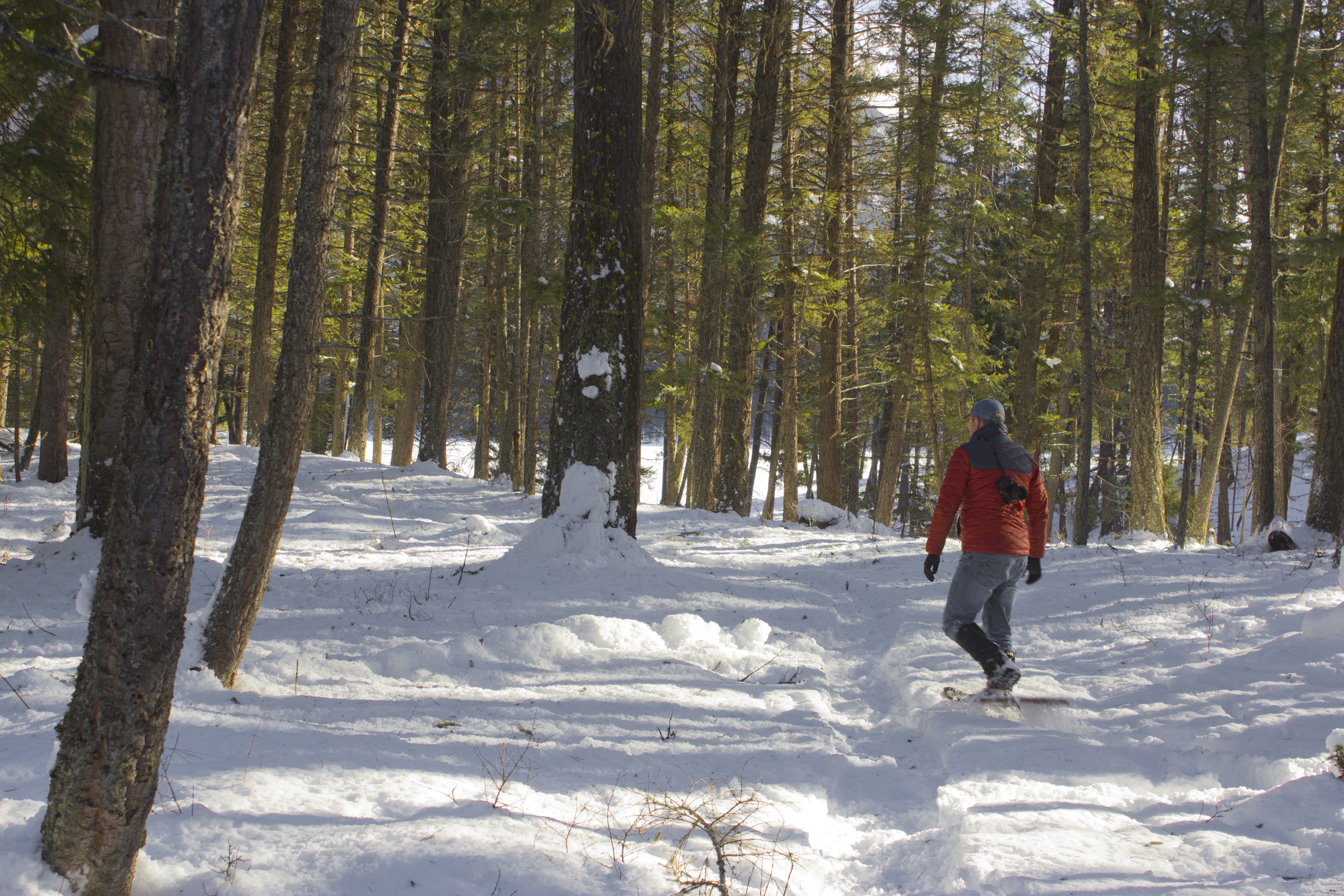 Snowshoe to Holland Falls