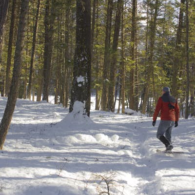Snowshoe to Holland Falls