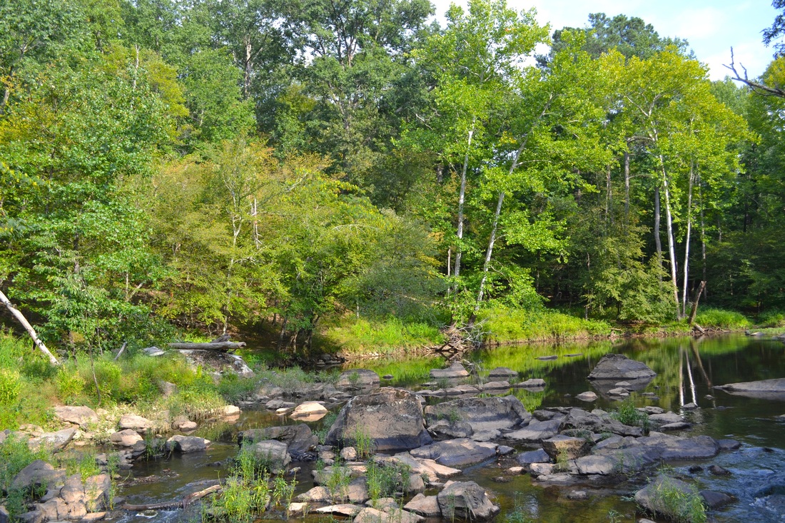 Cabe Lands Trail and Eno Quarry Loop