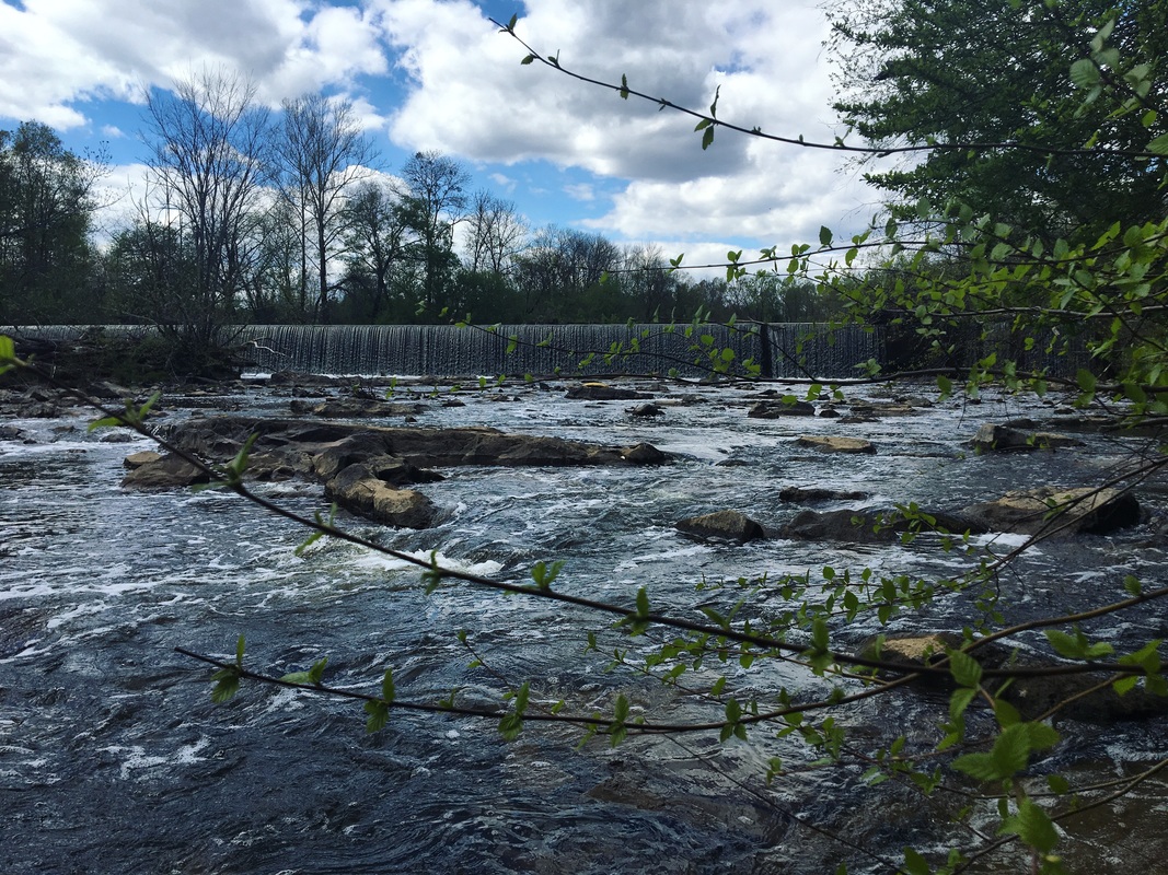 Fish the Haw River in Great Bend Park