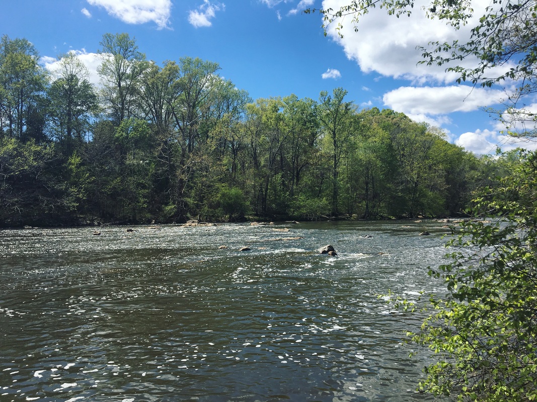 Fish the Haw River in Great Bend Park