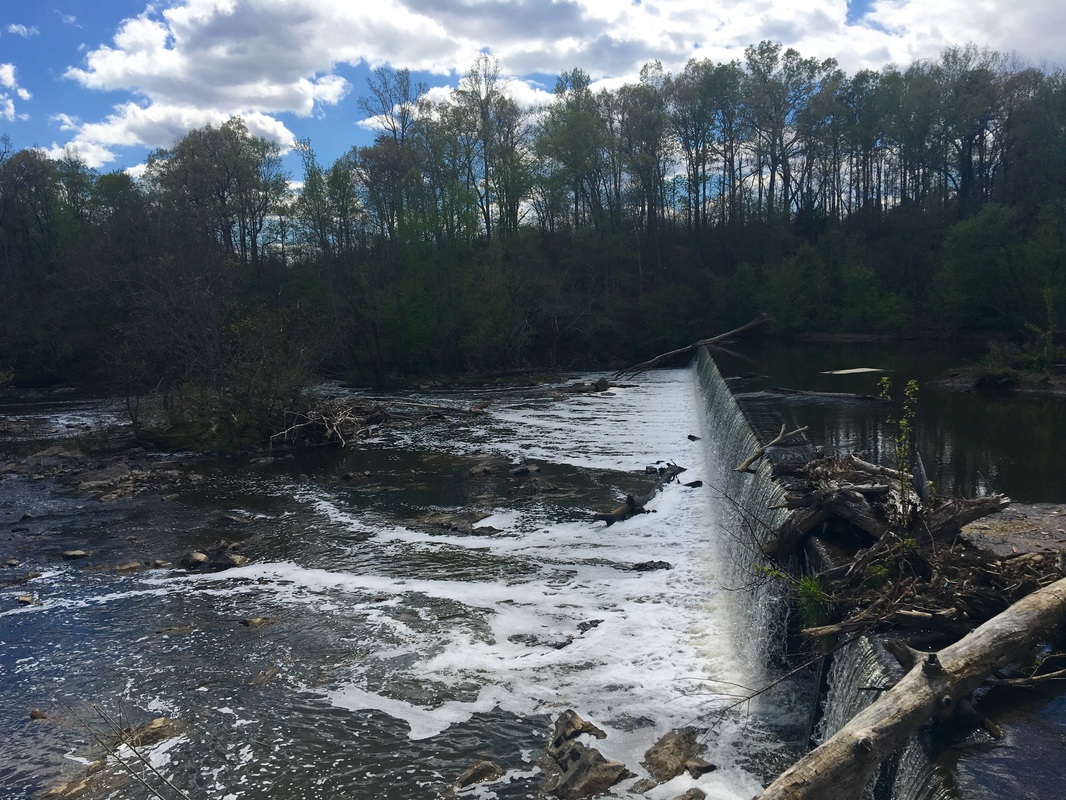 Fish the Haw River in Great Bend Park