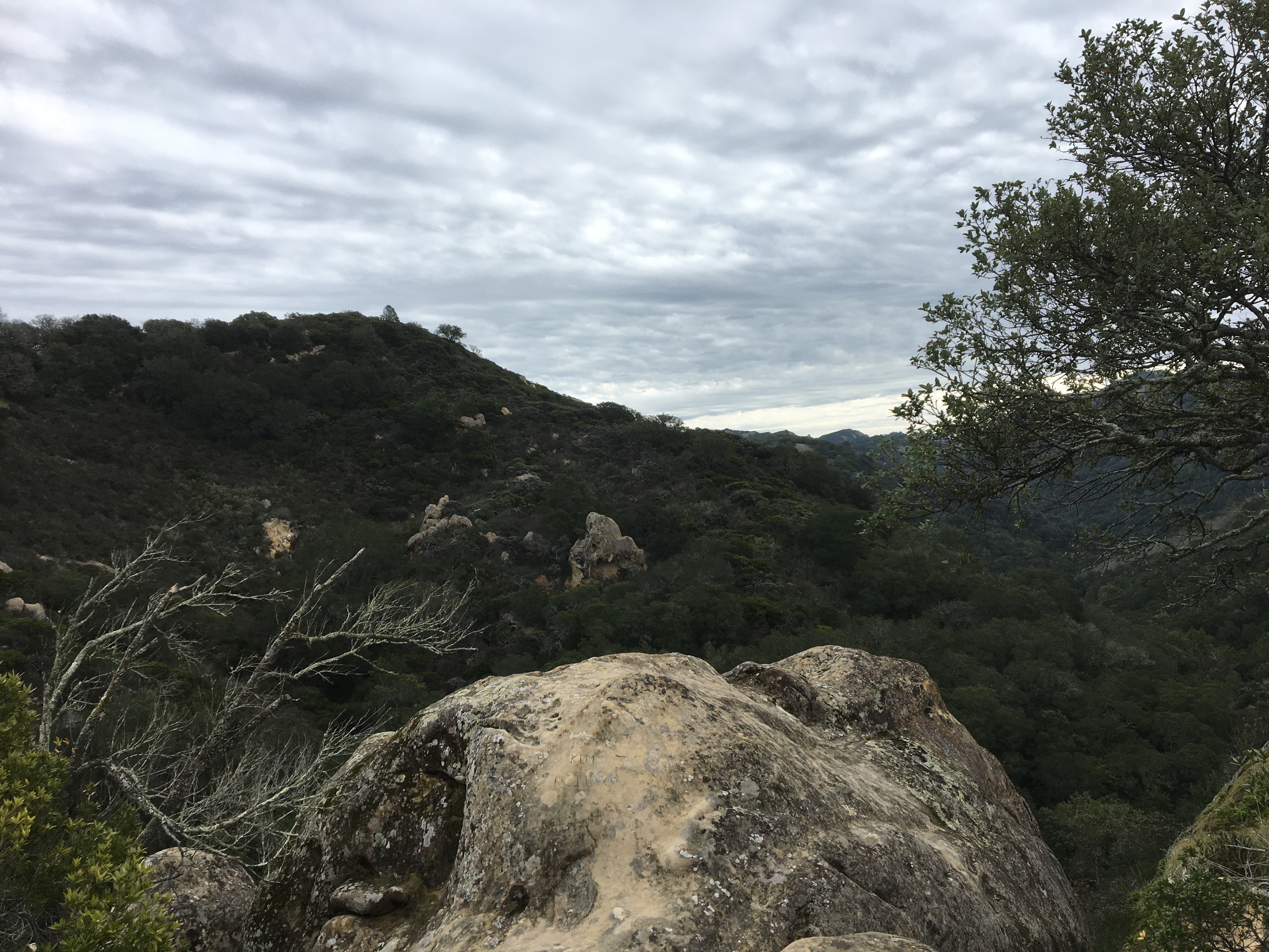 Hike in Mount Diablo's Madrone Canyon