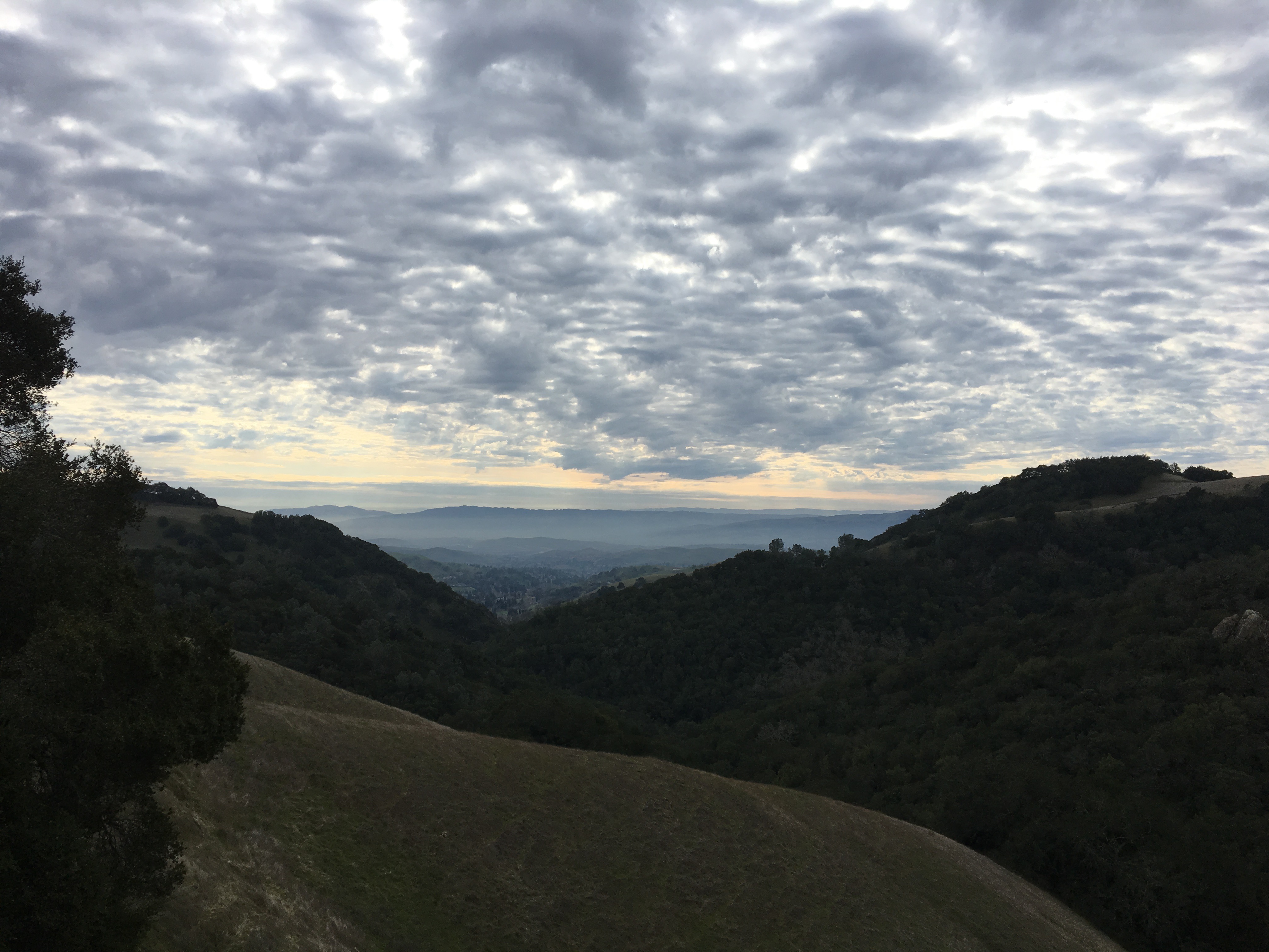 Hike in Mount Diablo's Madrone Canyon, Danville, California